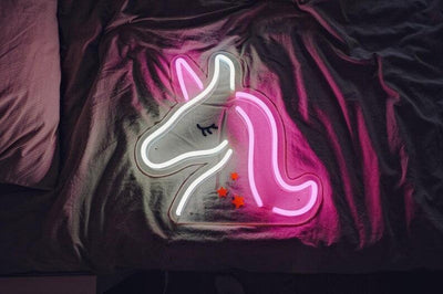 The Top 3 Reasons Why Neon Signs are Awesome for Your Bedroom