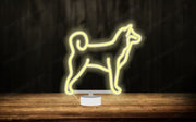 Shiba Dog - Tabletop LED Neon Sign