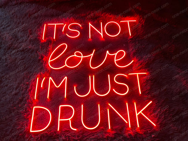 It's Not I'm Just Drunk | LED Neon Sign
