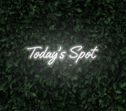 Today's Spot | LED Neon Sign