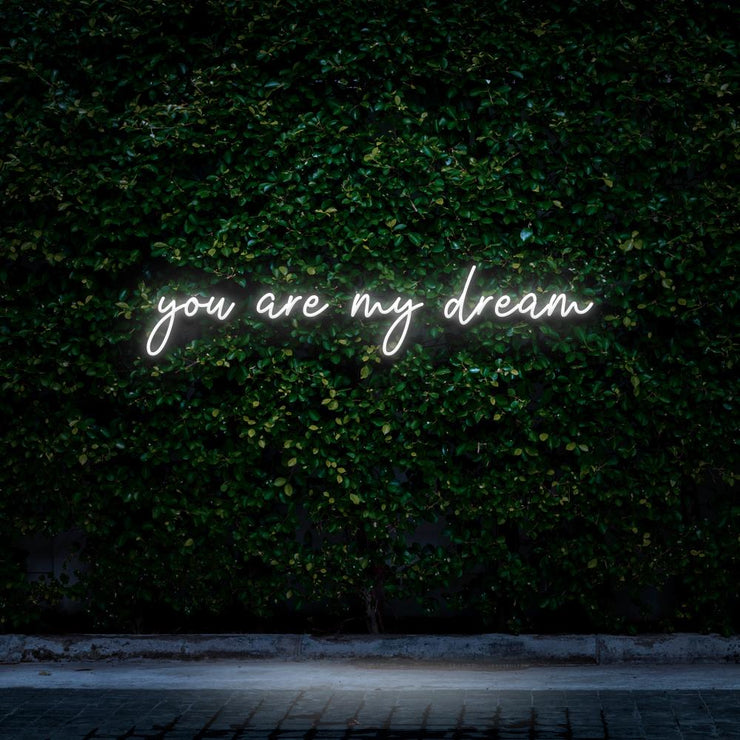 You are my dream | LED Neon Sign