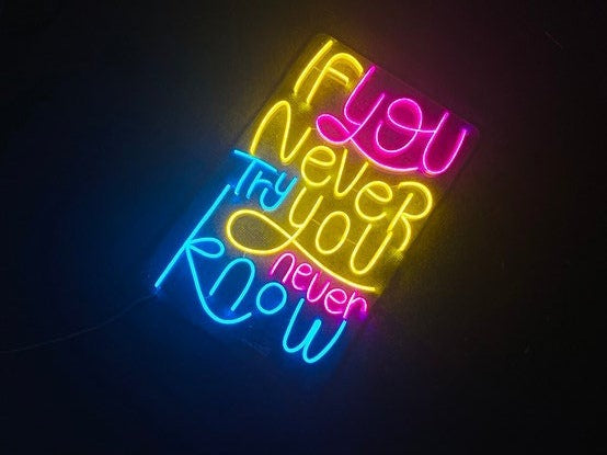 If You Never Try You Never Know | LED Neon Sign