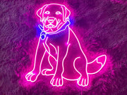 Bull Dog | LED Neon Sign