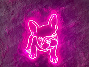 French Bull Dog | LED Neon Sign