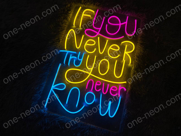 If You Never Try You Never Know | LED Neon Sign